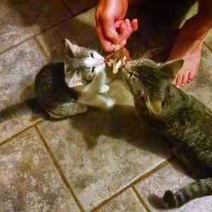 Meet your Posher, Angela